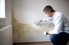 Best Mold Damage Restoration  in St Andrews, SC